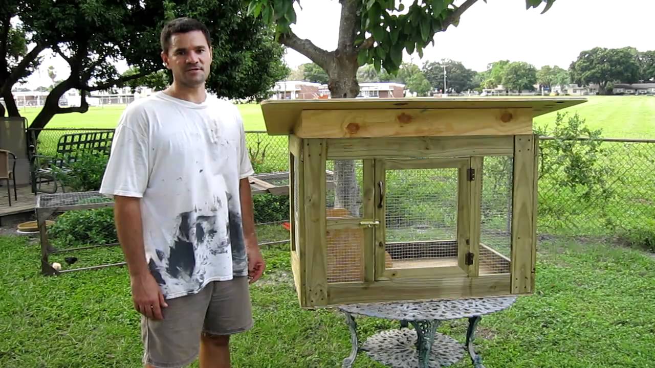 Small Chicken Coop - YouTube