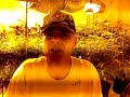 Growing Medical Marijuana for Pediatric use STOP CHILDHOOD cANCER! SD)