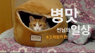 씬님의 병맛일상 #.3 자장가