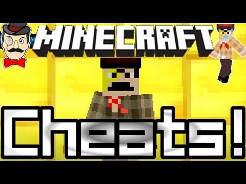 Minecraft CHEATS ! Single Player Commands in 12w16a !