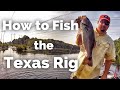 Texas Rig (Tips and Tricks) Texas Rig (Tips and Tricks)