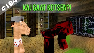 Minecraft Survival #184 - KAJ GAAT KOTSEN?!