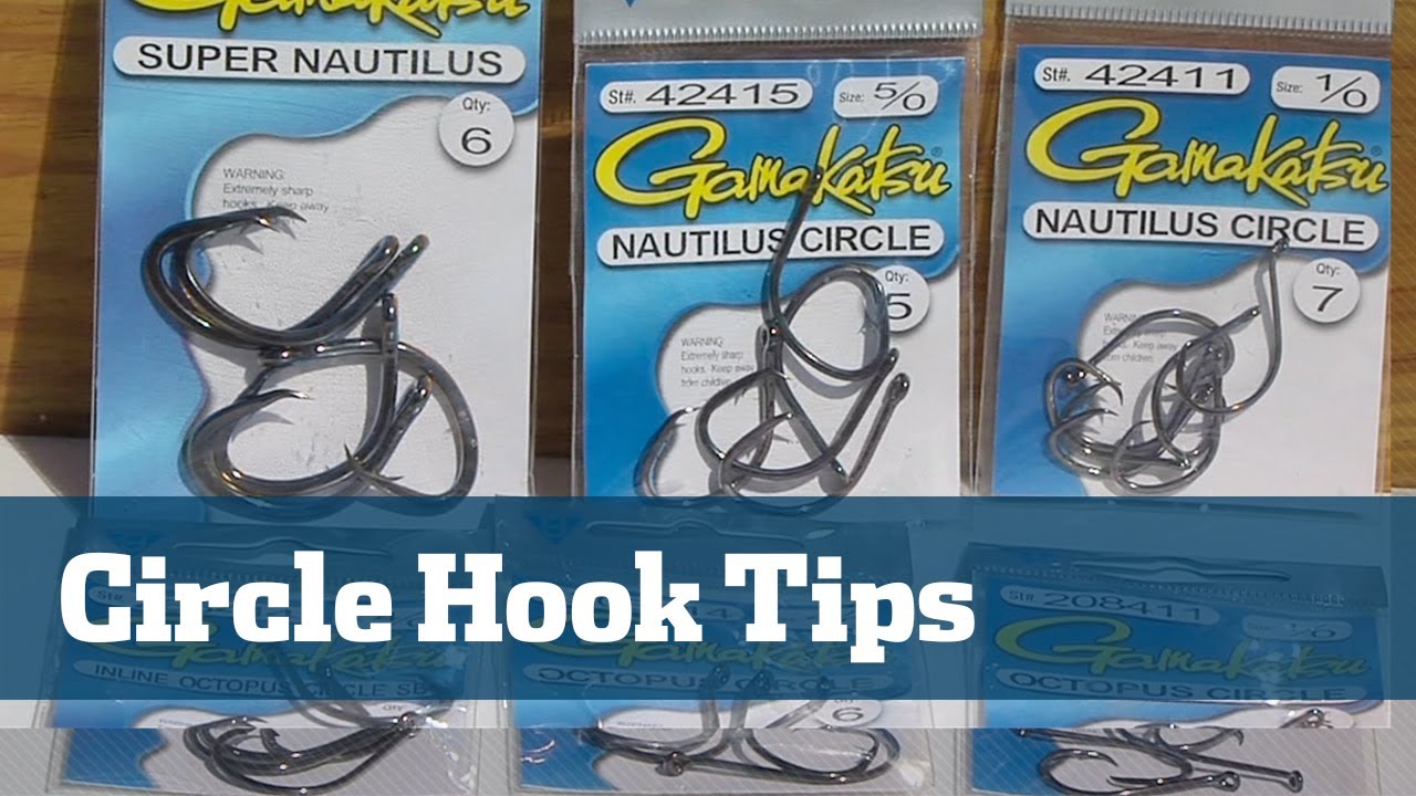 Circle Hook Overview YouTube