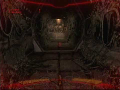 Alien Vs. Predator 3 Demo Online Gameplay (Predator) - YouTube