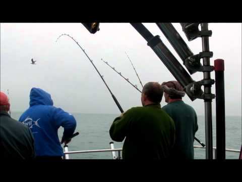 South Coast Sea Fishing Trips