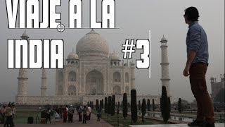 El Taj Mahal desde mi ventana - INDIA #3