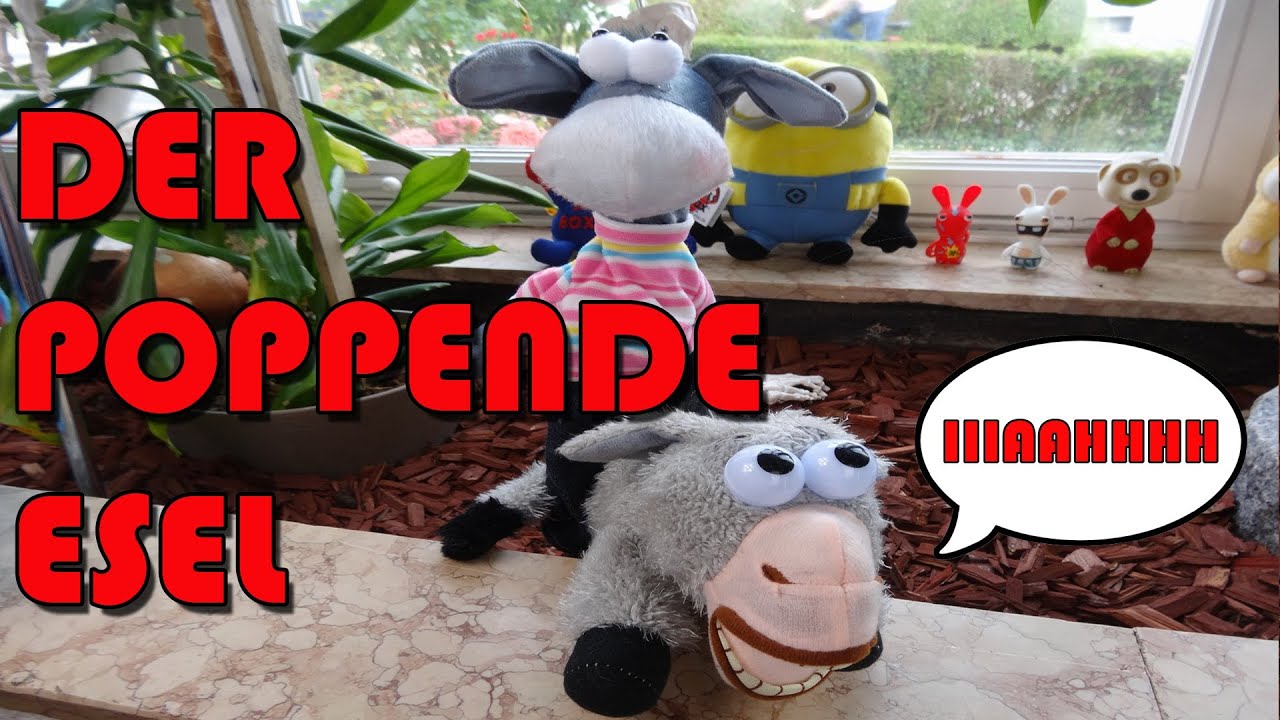 tanzender esel tanzender esel