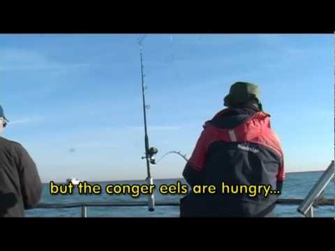Cod Fishing Trip, Oct 2012.