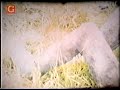 REAL WEREWOLF FOOTAGE! GERMANY 1942