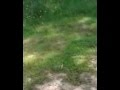 Nature N°2