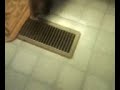 Roxie My High Jumping Fast Funny Baby Ferret playing in the bathroom.