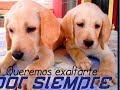 Thumbnail 3 for ENAMORADO DE TI ; GRUPO HERENCIA Thumbnail 3 for ENAMORADO DE TI ; GRUPO HERENCIA
