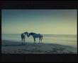 Spot Turismo de Marruecos - Agadir