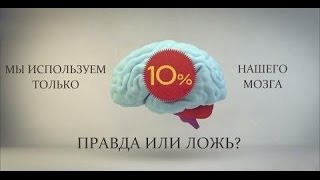 Как заставить работать мозг