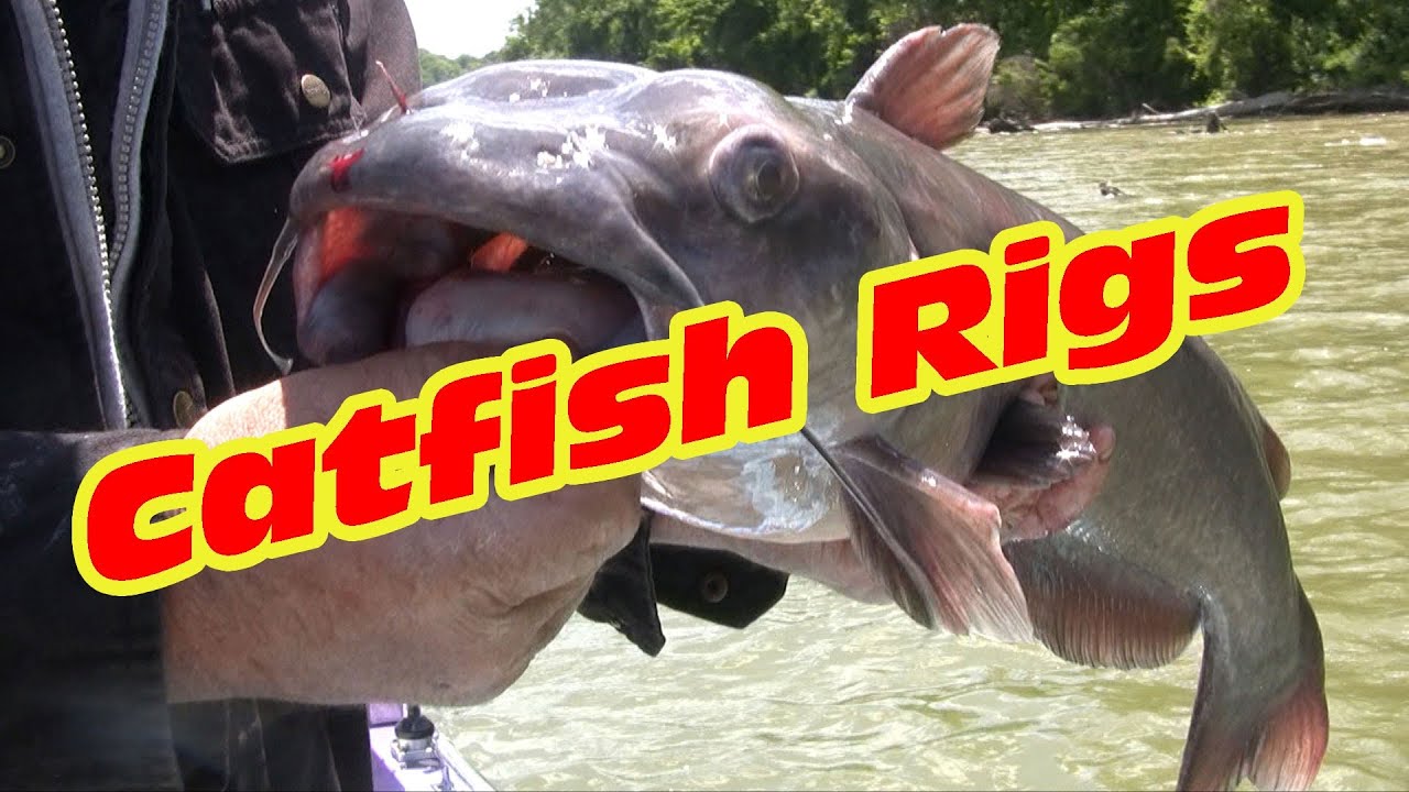 Catfishing RigsTwo surefire rigs that catch catfish YouTube