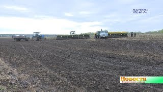 Урожай обещает стать золотым. Аграрии района подстраиваются под погоду и на ходу меняют севооборот