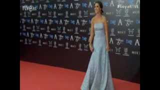 Paula Echevarría en la alfombra de los Premios Goya 2014