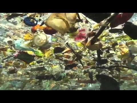 Plastics in Oceans