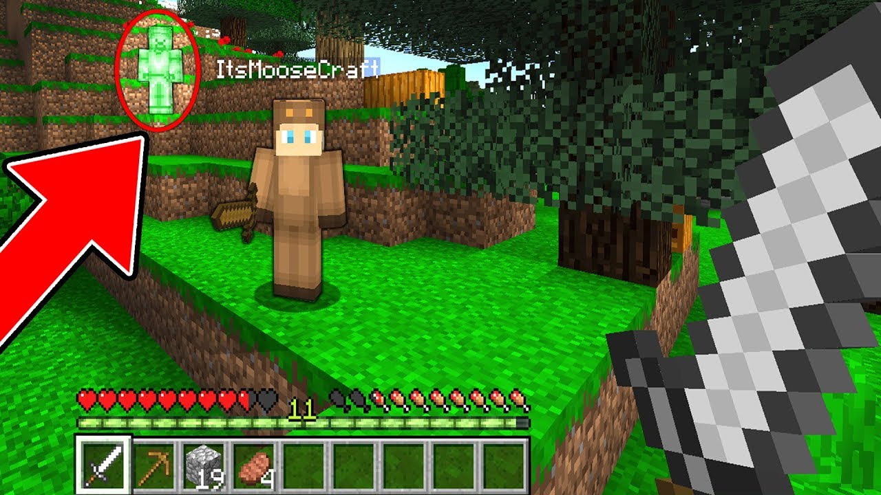 Moosecraft Roblox Skin