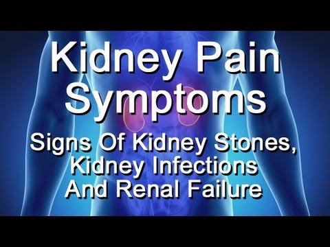 Kidney Pain Symptoms - Signs Of Kidney Stones, Kidney Infection, Renal