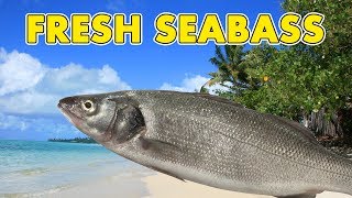 Fresh Sea Bass (Banished Gameplay | Part 4)