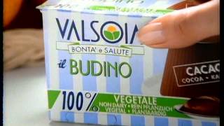 Budino Valsoia 1993 - Stefania Pittaluga