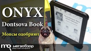 Обзор ONYX Dontsova Book. Фан-бук Дарьи Донцовой