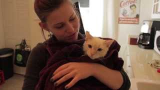 CATURDAY: Watson Gets A Bath