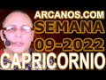 Video Horscopo Semanal CAPRICORNIO  del 20 al 26 Febrero 2022 (Semana 2022-09) (Lectura del Tarot)