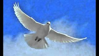 İclal Aydın Buluşmak Üzere Şiirini Dinle...
Can Dündar Buluşmak Üzere Şiiri Sözleri...
Diyeli İclal Aydın Buluşmak Üzere Şiirini Dinle...
Can Dündar Buluşmak Üzere Şiiri Sözleri...
Diyeli