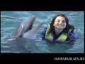 Королёва Наташа Моя любовь не умерла Скачать клип, смотреть клип, скачать песню