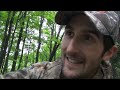Black Bear Encounter 2013