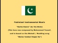 Pakistani Instrumental Music - Garba Dance (by The Mods) album artwork