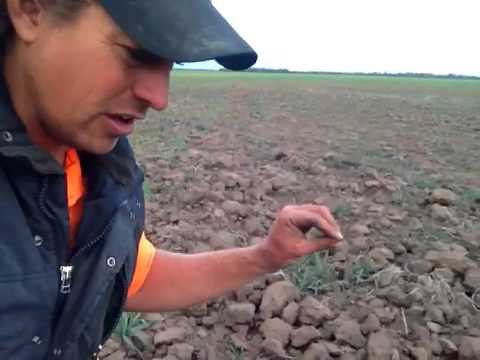 Hard Packing Soils after floods