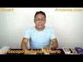 Video Horscopo Semanal ACUARIO  del 31 Agosto al 6 Septiembre 2014 (Semana 2014-36) (Lectura del Tarot)