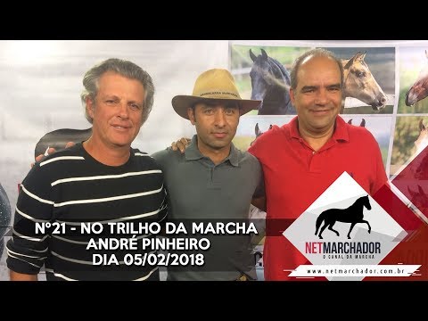 #21 - NO TRILHO DA MARCHA 05/02/2018 - MANGALARGA MARCHADOR HD