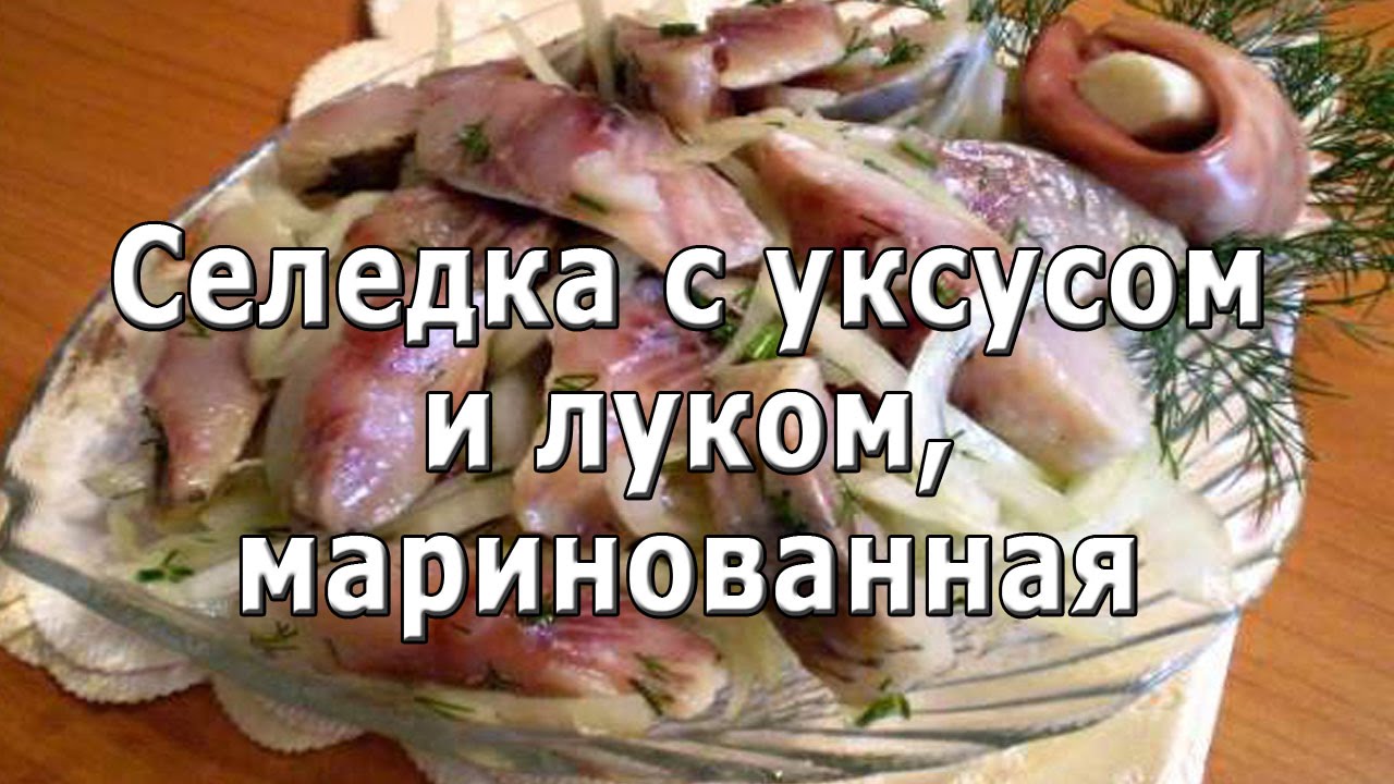 Как сделать селёдку с луком в уксусе Как сделать селёдку с луком в уксусе