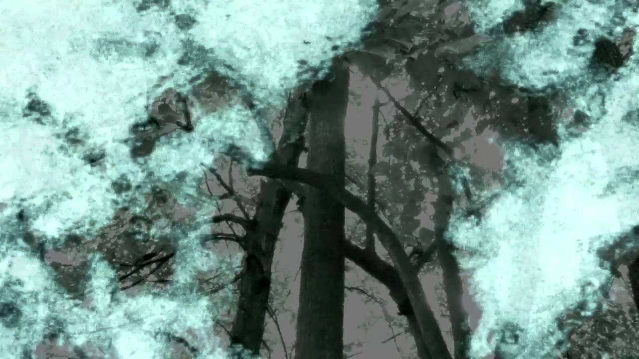 The Casket Lottery - Real Fear The Casket Lottery - Real Fear
