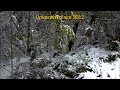Thumbnail 2 for BIGFOOT Best Evidence 2014 Sightings Of Sasquatch, Yeti Thumbnail 2 for BIGFOOT Best Evidence 2014 Sightings Of Sasquatch, Yeti