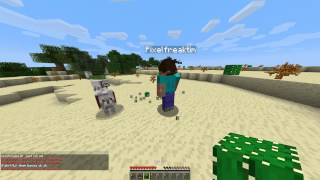 Minecraft Hunger Games kit Review #23 Beastmaster (Svenska)