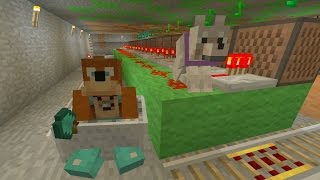 Minecraft Xbox - Dings And Dongs [202]