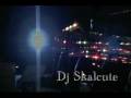 Dj Skalcute - Wild emotions **New Hit 2009**