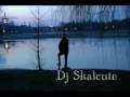 Dj Skalcute - Wild emotions **New Hit 2009**