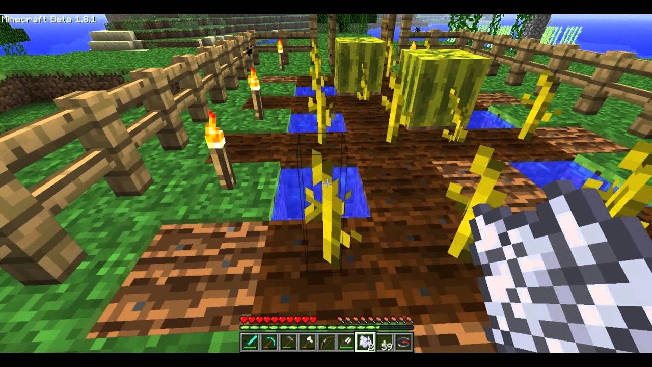 Minecraft 1.8 How to Plant Melons and Fence Gates! YouTube