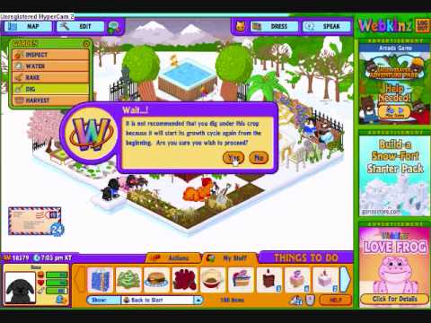 Access old webkinz account