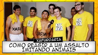 COMO REAGIR A UM ASSALTO IMITANDO ANIMAIS