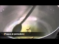 Ricetta pappa al pomodoro
