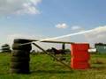 Humour du cheval : les gags des chevaux