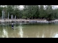 Skagit Master 4