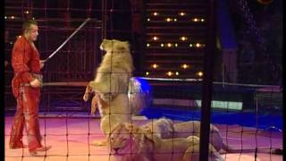 Trained lions